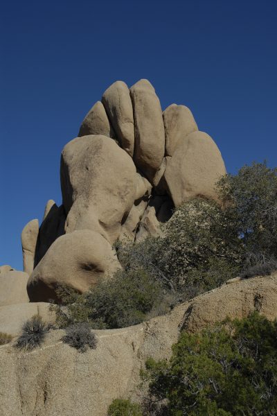 This looks like the fist of a giant rock monster. © Lee Reeder