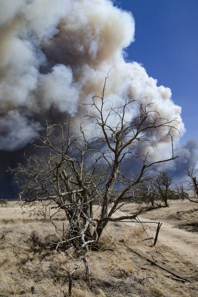 The fire begins racing across the grasslands. © Lee Reeder
