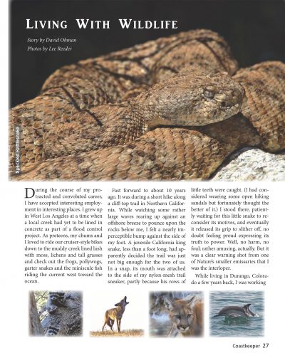 Opening page for wildlife article